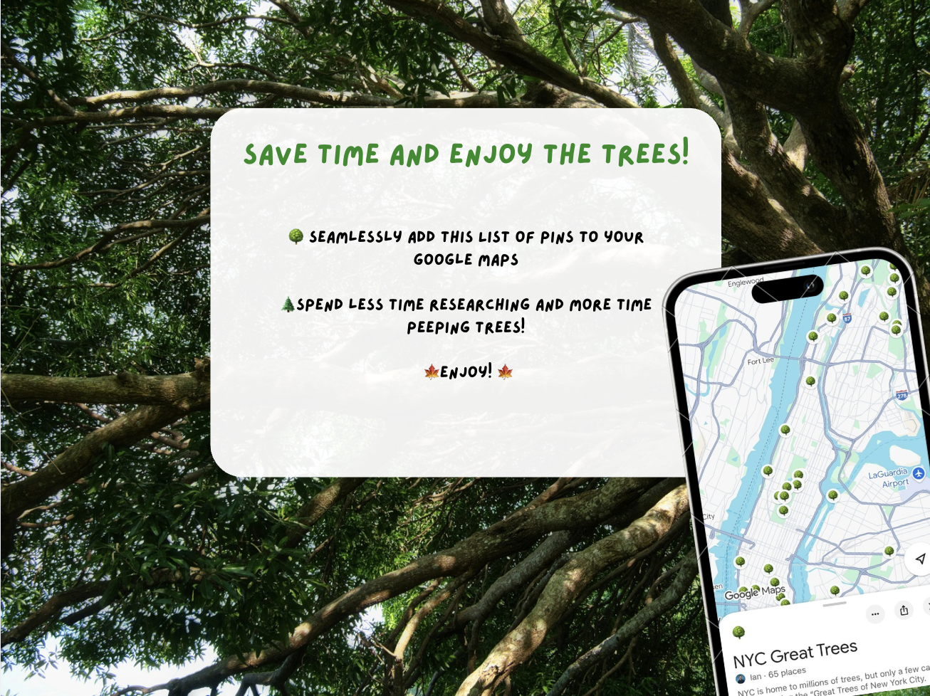 NYC Tree Tour map